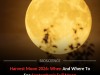 How To See The Stunning 2026 Harvest Moon Following The Autumnal Equinox