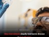 Rapid 40-Minute Test Could Revolutionize Rocky Mountain Spotted Fever Diagnosis