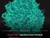 Breakthrough In Vivo CAR T Therapy Hits Immune Reset Button for Autoimmune Disease