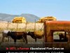 How Five Cows Spawned a 2,000‑Head Herd: DNA Uncovers Mixed Ancestry and Unexpected Size