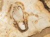 Bronze Age Stone Footprints Reveal Personal IDs and Water Rituals in Scandinavia