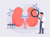 Clearance Tests to Measure Glomerular Filtration Rate (GFR)