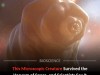 Tardigrades Thrive In Space Vacuum: Could They Become Humanity’s First Interplanetary Seeders