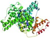 Bovine Serum Albumin (BSA): Structure, Properties, Applications, and Future Research Directions