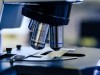 Microscope Care and Maintenance