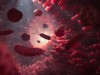 Gut Bacteria From Young Mice Reopen Critical Brain Plasticity Window