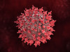 What You Should Know About Middle East Respiratory Syndrome Coronavirus (MERS-Cov)