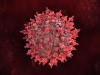 What You Should Know About Middle East Respiratory Syndrome Coronavirus (MERS-Cov)