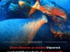 600+ Amphorae Found in Sunken Greek Trade Ship Off Andros Island