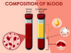Macro Method (Wintrobe Method) for Estimation of Packed Cell Volume (PCV) or Hematocrit (HCT)