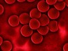 Total Erythrocyte Count (Manual Method)