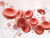 3d illustration of human red blood cells isolated on white background, concept for medical health care.