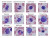 Different Types of Leukocytes