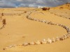 Egypt’s Whale Graveyard Uncovers Tiny Legs That Prove Whales Evolved From Land