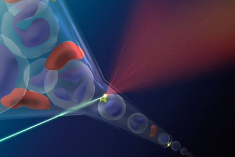 Flow Cytometry