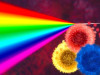 Terminologies Used in Flowcytometry