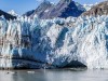 Three Tiny Mammals Reveal Arctic Life Thriving 73 Million Years Ago