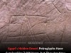 Ancient Egyptian Desert Petroglyphs Vanish as Climate Change and Vandalism Accelerate