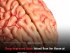 Anti-Aging Drug Boosts Brain Blood Flow in People at High Risk of Alzheimer’s