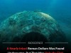 Massive Roman Cargo Jar And Mysterious Ancient Shipwreck Discovered Off The Coast Of Elba