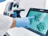 NANOG Gene Is The Master Switch Guiding The First Days Of Human Life
