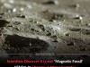 Rare Iron Found In Chang’e-6 Samples Could Reveal The Moon’s Hidden Magnetic Past
