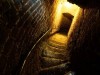 Archaeologists Followed a Forgotten Staircase in an Old Church and Found a 400-Year-Old Burial Vault Hidden Beneath the Floor