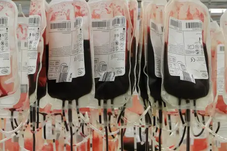 Blood Bags