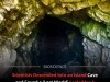 Million-Year-Old Cave Yields 16 New Species, Including a Flying Ancestor of the Kakapo