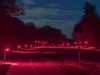 Denmark Just Switched Off White Streetlights and Turned a Road Red to Solve a Nighttime Urban Crisis Most Cities Still Ignore