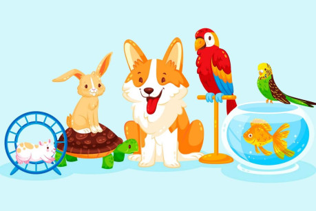 Different Cute Pets