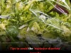 What You Need to Know to Dodge the Cyclospora Outbreak in Your Salad and Stay Healthy