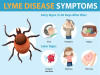 Biomagnetism and Lyme Disease: Multi-Pathogen Syndrome