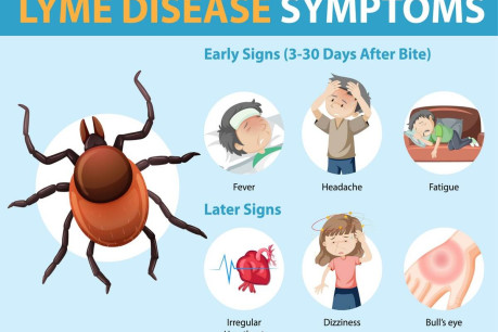 Symptoms of Lyme Disease