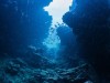 Brazil Deep-Sea Expedition Reveals 31 Never‑Seen Species and a Possible New Siphonophore Family
