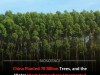 China’s Billion‑Tree Campaign Boosts Evapotranspiration, Shifts Moisture to Tibetan Plateau