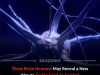Scientists Discover A Brain Switch That Could Normalize Persistent High Blood Pressure