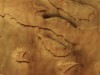 ESA’s Mars Express unveils towering 8‑km dust devils twisting through ancient Mamers Valles