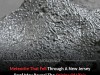 Pristine New Jersey Meteorite Offers Rare Glimpse Into Life-Forming Chemistry