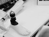 Scientists Trigger Finger Regrowth in Mice Using Two Proteins and a Blastema Blueprint