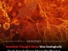 Venus Rift Valleys May Still Be Growing, New 3D Models Show Active Tectonics