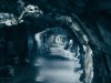 Inside Norway’s Hidden Cave: 46 Arctic Species Reveal a 75,000-Year-Old Ice-Age World