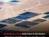 China Built a Massive Solar Farm in the Desert and It Unexpectedly Transformed the Local Ecosystem