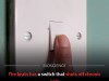 Scientists Identify Biological Brake in the Brain That Shuts Off Chronic Pain
