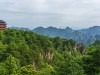 China’s 66 Billion-Tree Great Green Wall Grows Faster Than Natural Forests, Study Shows