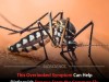 Why Eye Pain Could Be Your First Clue That It’s Dengue, Not the Flu