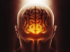 Consciousness Crisis: Explosive Study Reveals Science’s Stunning Failure