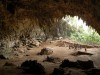 New Research Says Hobbit Ancestors Lived Off Komodo Dragon Scraps, Not Hunting