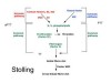 Activated Partial Thromboplastin Time (APTT)