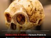 Ghost Ancestors Revealed: Hidden Lineage Contributes Up to 1% DNA to Every Human